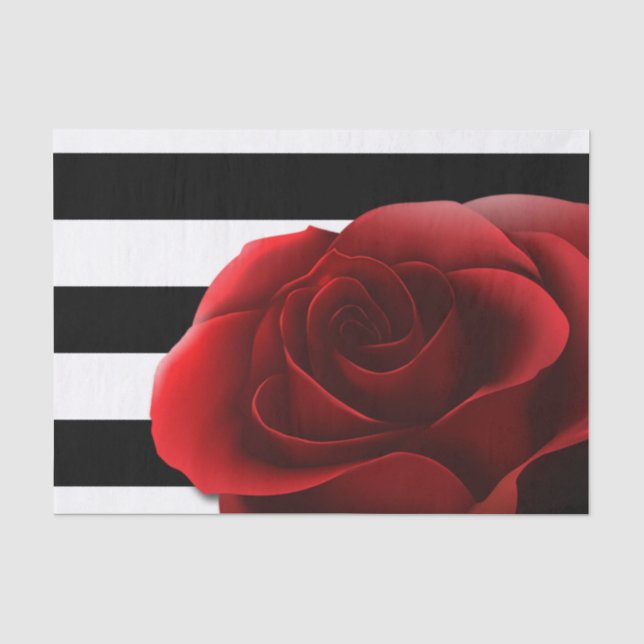 Papier Mousseline Rose rouge et Blancs noirs (Recto)