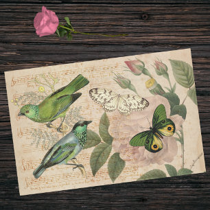 Papier Mousseline Rose vert Musical Oiseau Papillon Rose Ephemera