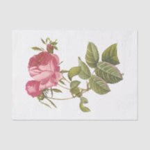 Roses blanches vintage #3 Fleurs Floral