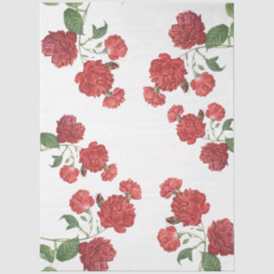 Papier Mousseline Roses de Chou Rouge