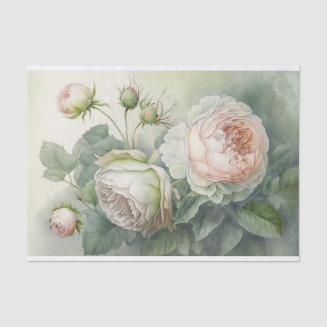 Papier Mousseline Roses de choux du printemps (Recto)