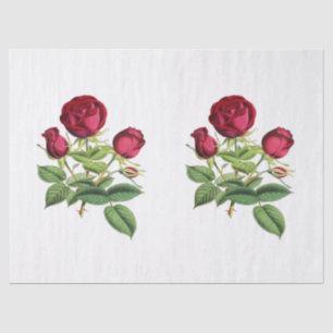 Papier Mousseline Roses de thé rouges vintage Fleurs