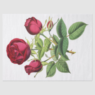 Papier Mousseline Roses Fleurs de Thé Rouge Vintage