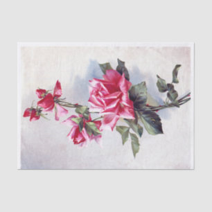 Papier Mousseline Roses roses roses roses Vintages de carte postale