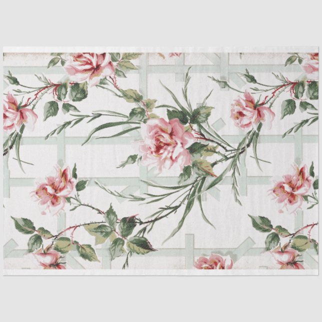 Papier Mousseline Roses roses roses sur le jardin Trellis (Recto)