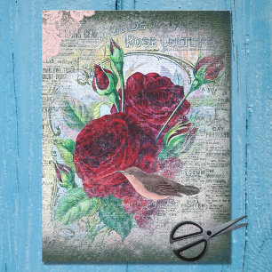 Papier Mousseline Roses Rouges Florales Finch Ephémère Découpage