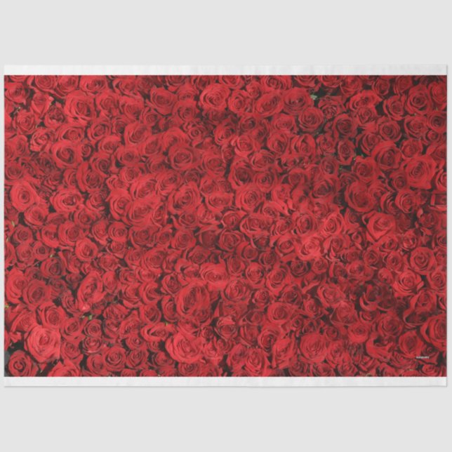 Papier Mousseline Roses rouges HAMbyWG (Recto)