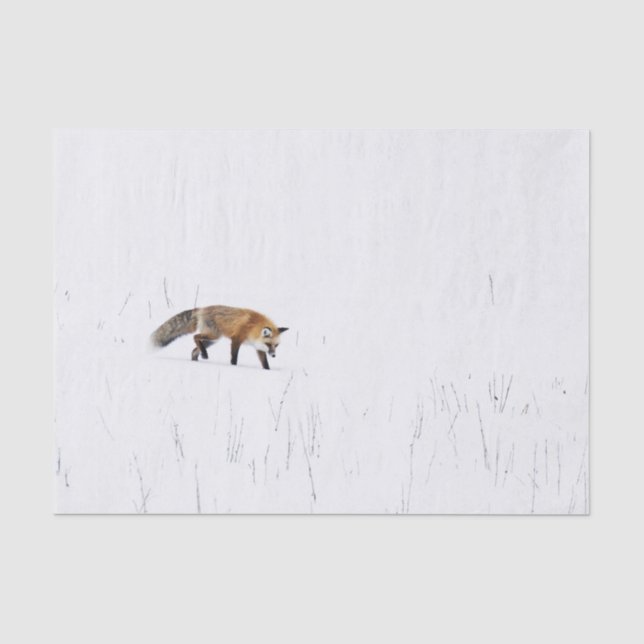 PAPIER MOUSSELINE ROUGE FOX SUR PAPIER EN TISSU DE NEIGE (Recto)