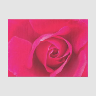 Papier Mousseline Rouge romantique Rose rose v2