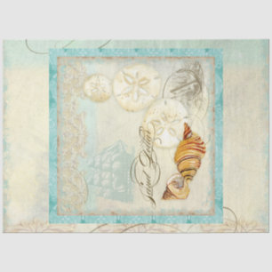 Papier Mousseline Sable Dollar Beach Coquillages Balnéaire Découpage