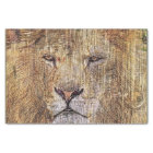 safari en Afrique faune majestueux lion