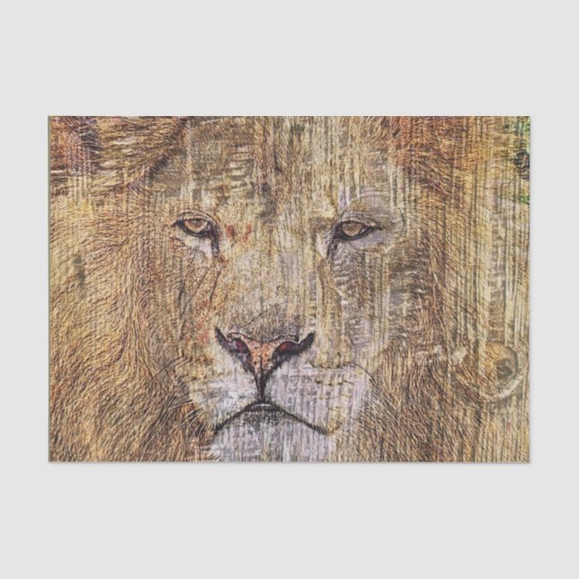 Papier Mousseline safari en Afrique faune majestueux lion (Recto)