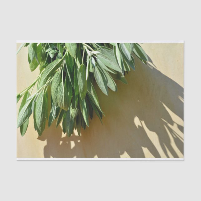 Papier Mousseline Sage frais coupé (Recto)