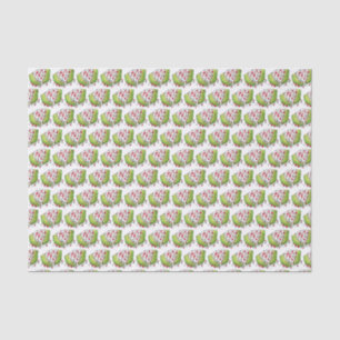 Papier Mousseline Salade classique de laitue Iceberg Salade de coin