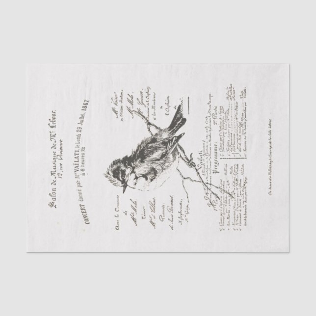 Papier Mousseline Salon de Musique Française Oiseau Script Tissu Pap (Recto)
