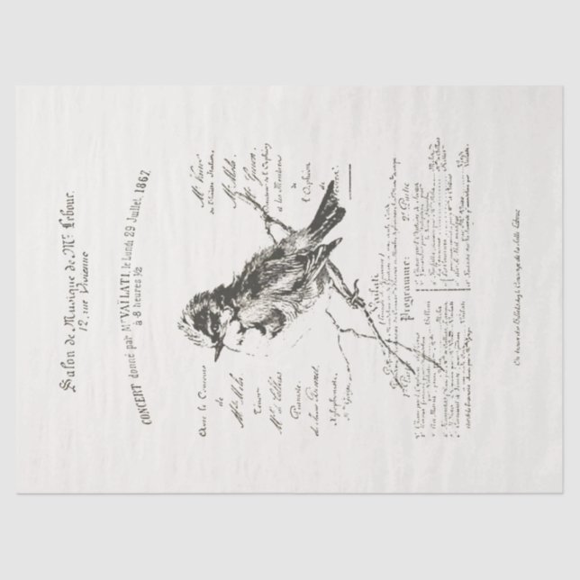 Papier Mousseline Salon de musique française plus grande Oiseau Scri (Recto)