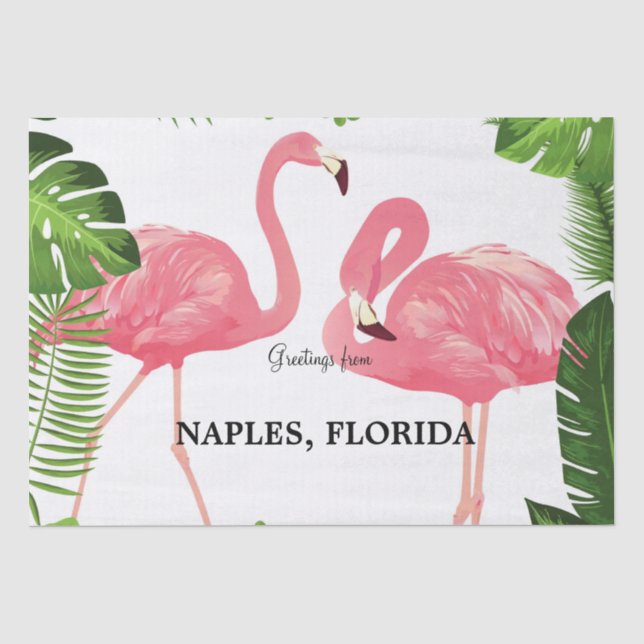 Papier Mousseline Salutations de Naples, Floride (Recto)