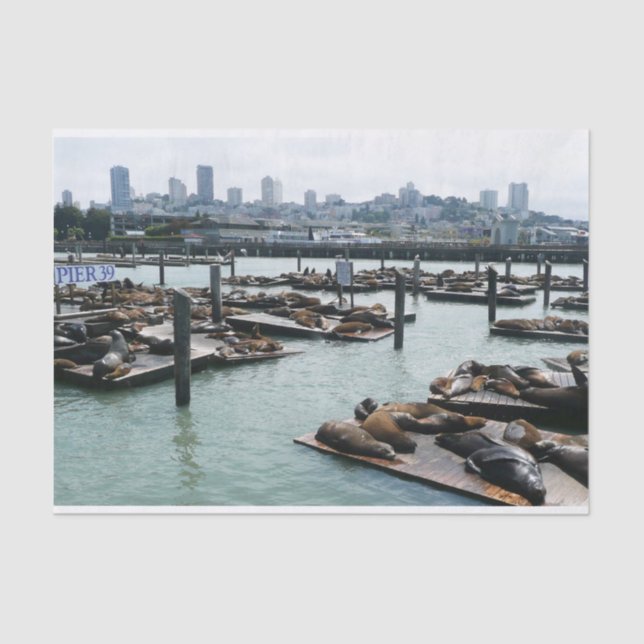 Papier Mousseline San Francisco et Pier 39 Sea Lions City Skyline (Recto)