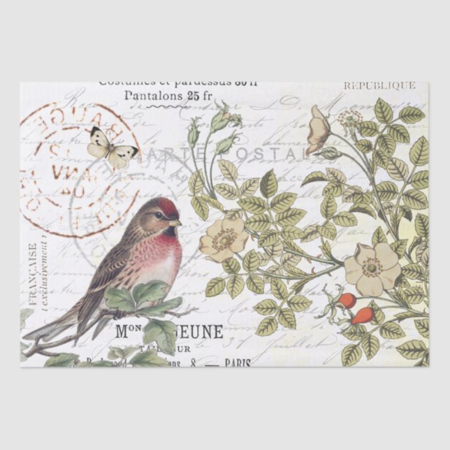 Papier Mousseline Sauvage Carte Rose Postale Songbird French Script (Recto)