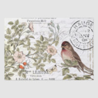 Sauvage Carte Rose Postale Songbird French Script