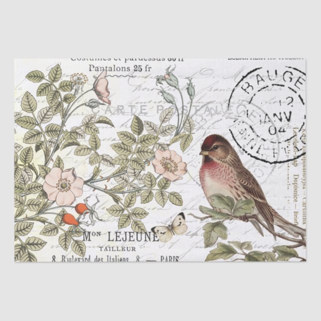 Papier Mousseline Sauvage Carte Rose Postale Songbird French Script (Recto)
