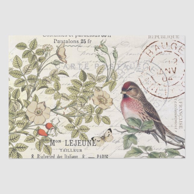 Papier Mousseline Sauvage Carte Rose Postale Songbird French Script (Recto)