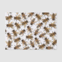 Sauvez l'abeille ! Sauvez le monde ! Vivent la