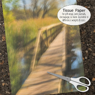 Papier Mousseline Scène De La Promenade Des Terres Humides Au Début 