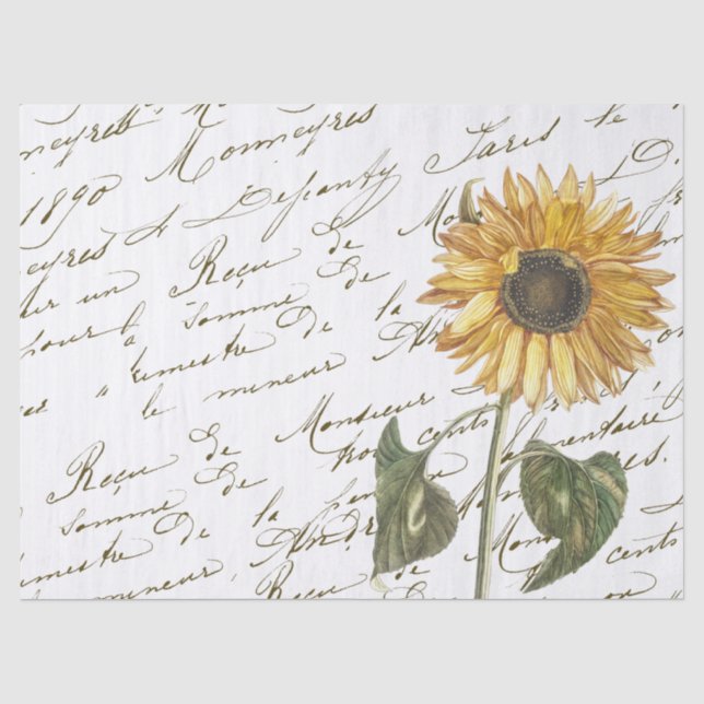 Papier Mousseline Script Vintage Yellow Sunflower (Recto)