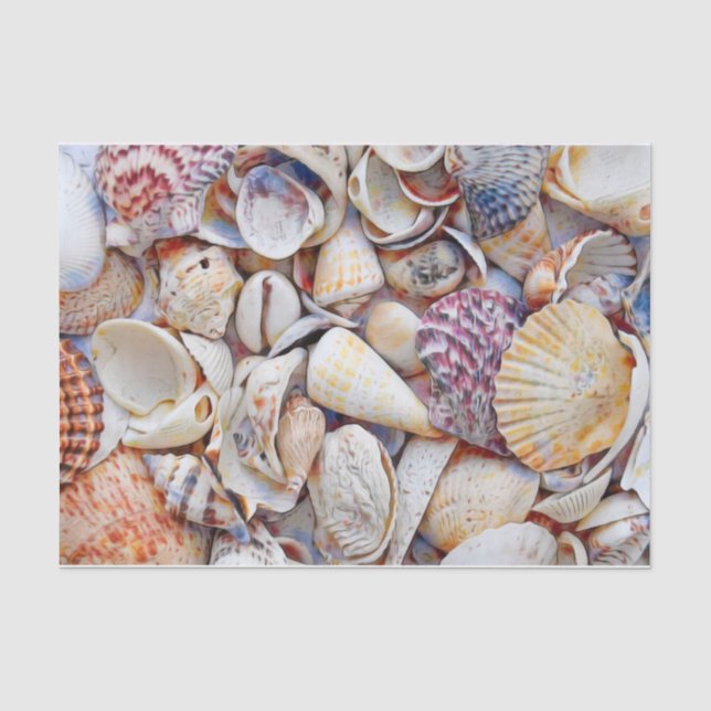 Papier Mousseline Sea Shells Couleur d'eau Ocean Beach (Recto)