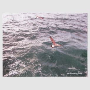 PAPIER MOUSSELINE SEAGULL VOLANT AU-DESSUS DES VAGUES MARITIMES