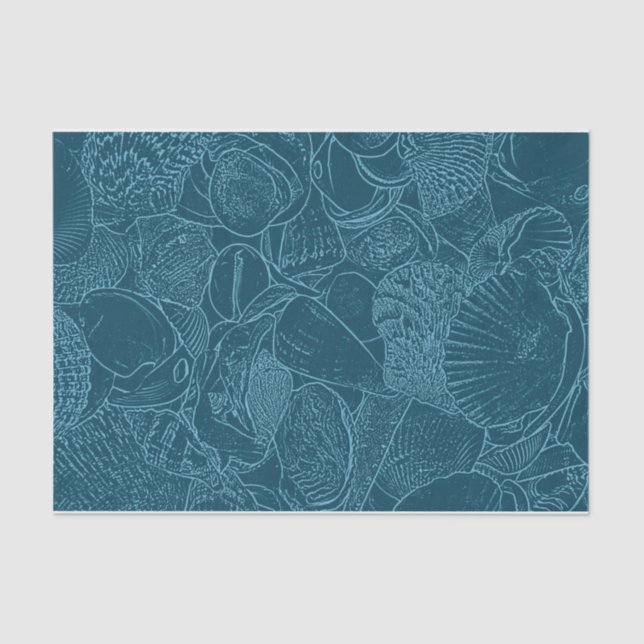 Papier Mousseline Seashell Ocean Beach Dusty Blue Sketch Art (Recto)