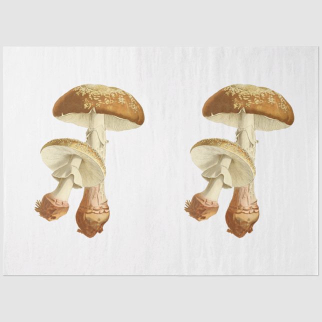 Papier Mousseline Série de design Éphémères de champignons #26 (Recto)