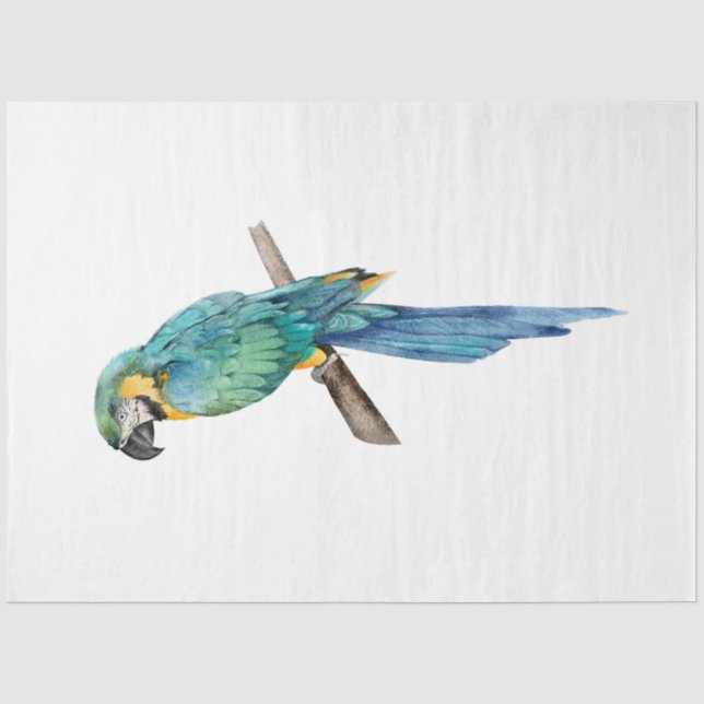 Papier Mousseline Série d'oiseaux tropicaux : Blue Macaw (Recto)