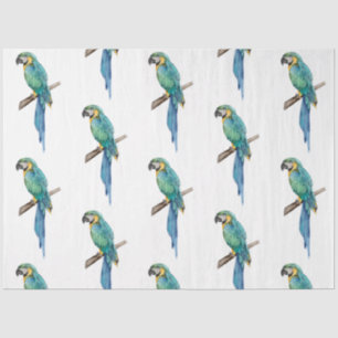 Papier Mousseline Série d'oiseaux tropicaux : Blue Macaw design 2