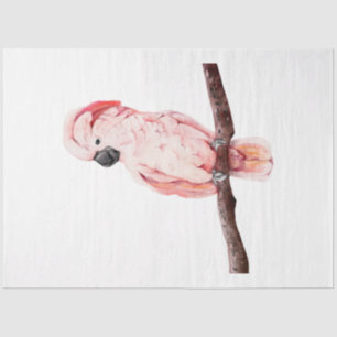 Papier Mousseline Série d'oiseaux tropicaux : Cockatoo