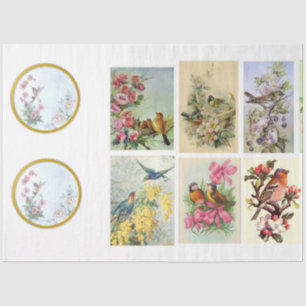 Papier Mousseline Série Wild Bird Design 2