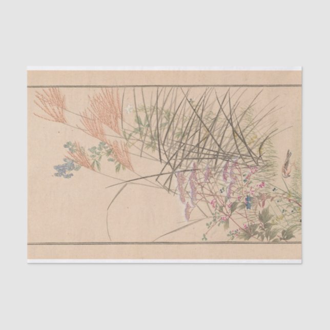 Papier Mousseline Shū bi Gakan Pl.03 par Nanbara Sakujirō (Recto)