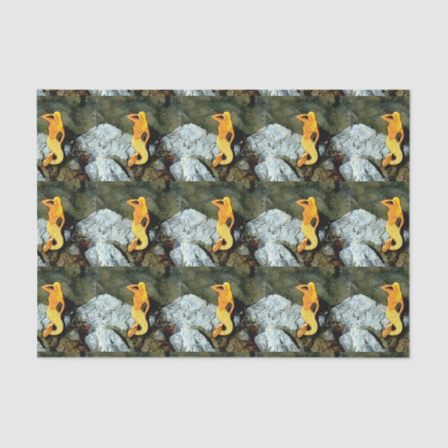 Papier Mousseline sirènes d'observation blonde (Recto)