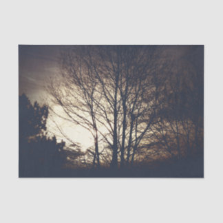 Papier Mousseline Soirée automne Foggy