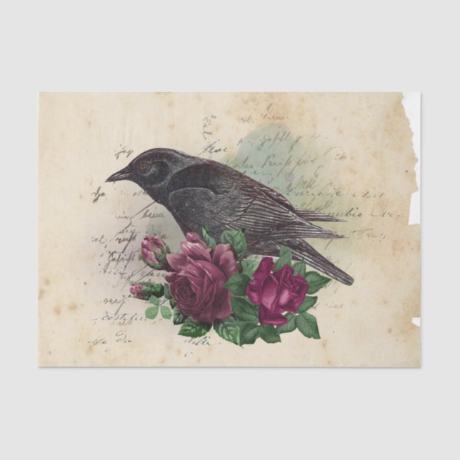 Papier Mousseline Sorcière Ephemera Design série #10 (Recto)