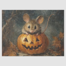 Souris Halloween mignonne avec Citrouille pour Déc