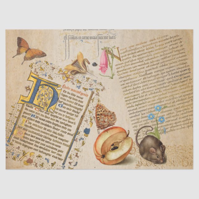 Papier Mousseline Souris papillon Fleur de Script Illuminé (Recto)