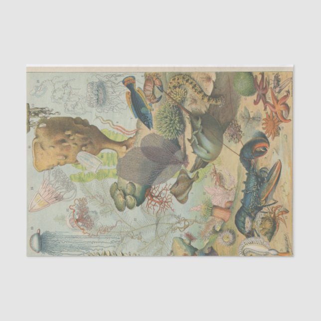 Papier Mousseline Sous la mer marine (Recto)