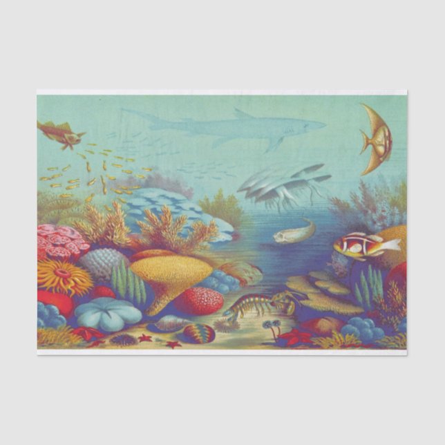 Papier Mousseline Sous la scène de marine de mer (Recto)