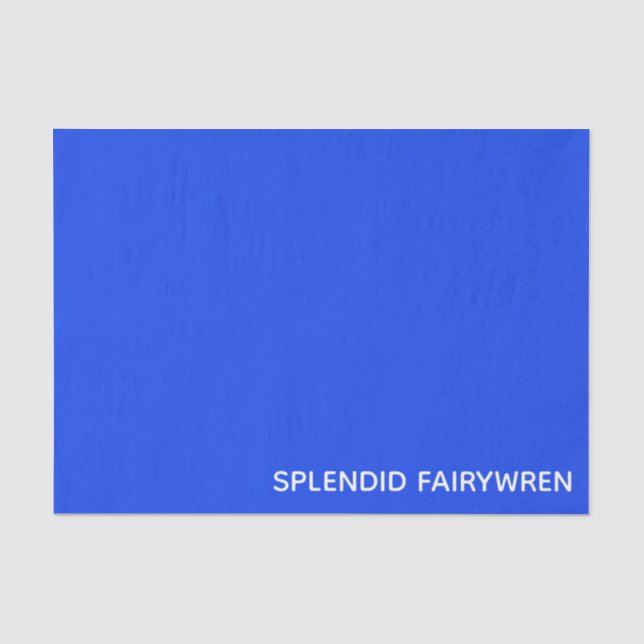 Papier Mousseline Splendid Fairywren Blue Colour (Recto)