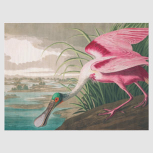 Papier Mousseline Spoonbill sur le roseate par John James Audubon