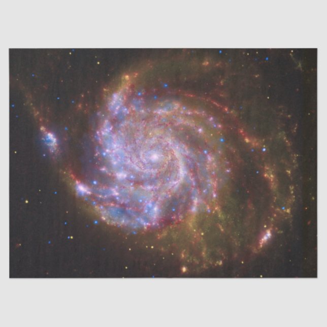 Papier Mousseline Starbirth in the Pinwheel : Galaxy M101 (Recto)