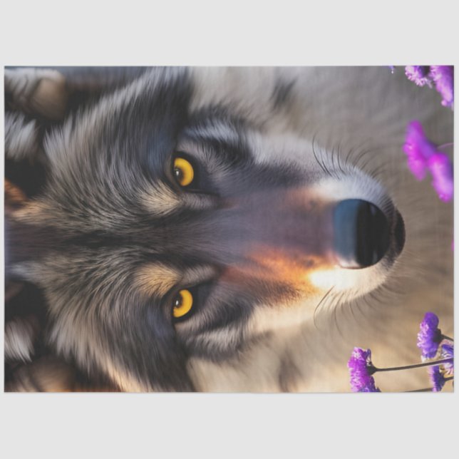 Papier Mousseline Stare de loup gris et fleurs pourpres (Recto)