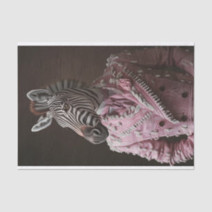 Papier Mousseline Steve le Zebra